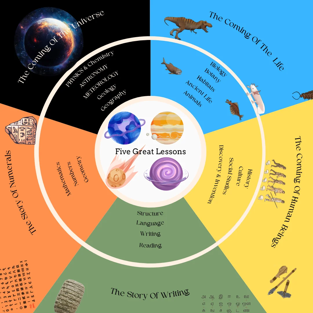 Elementary Curriculum