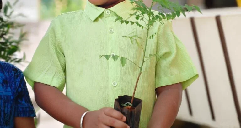 Brown Stairs Activity