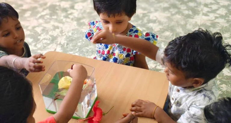 Pink Tower Activity
