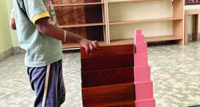 Pink Tower Activity