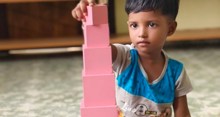 Pink Tower Activity