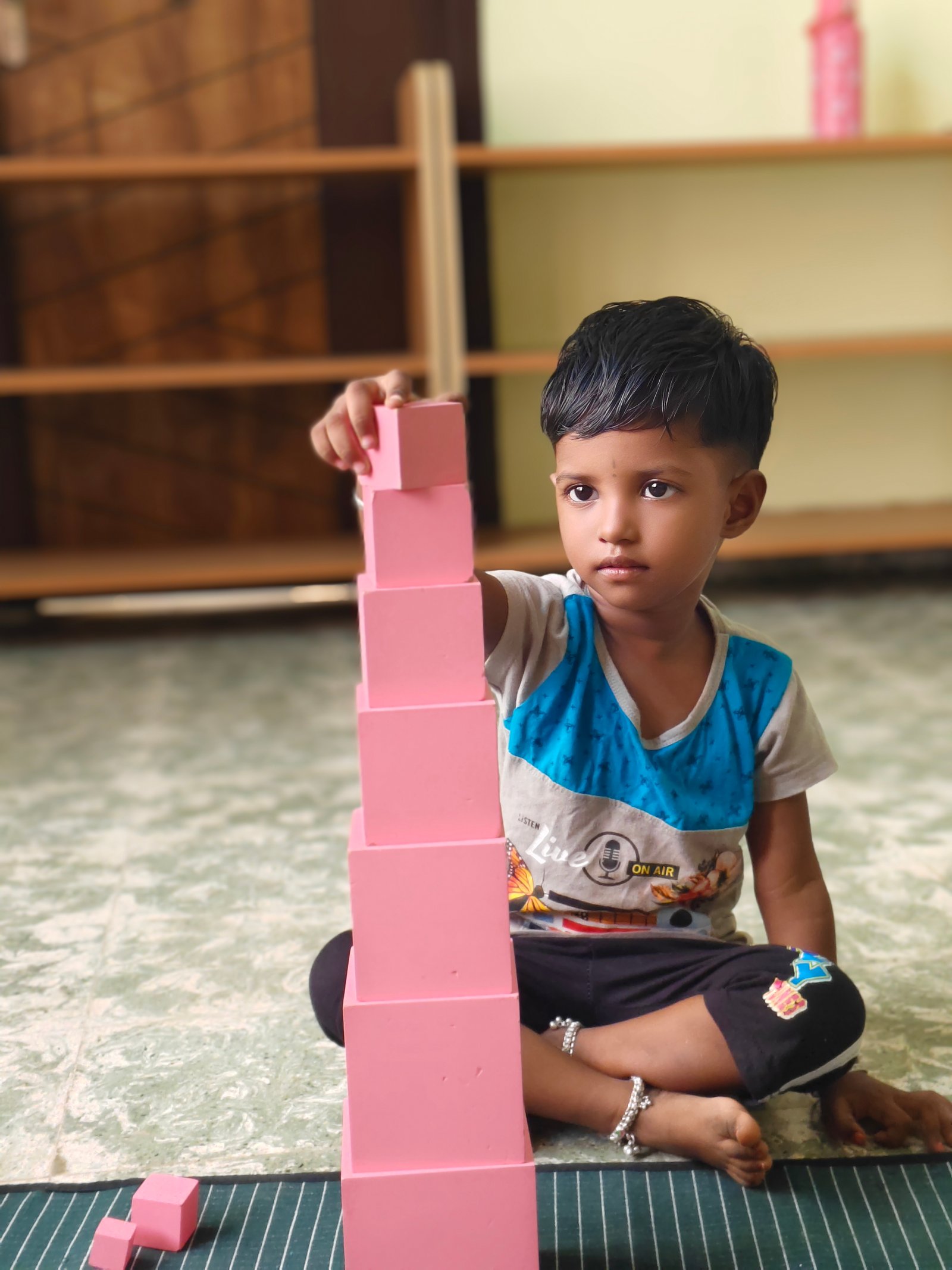 Sensorial Curriculum