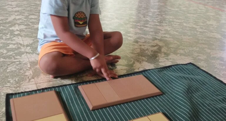 Pink Tower Activity